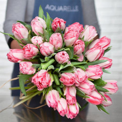 Bouquet de 30 tulipes